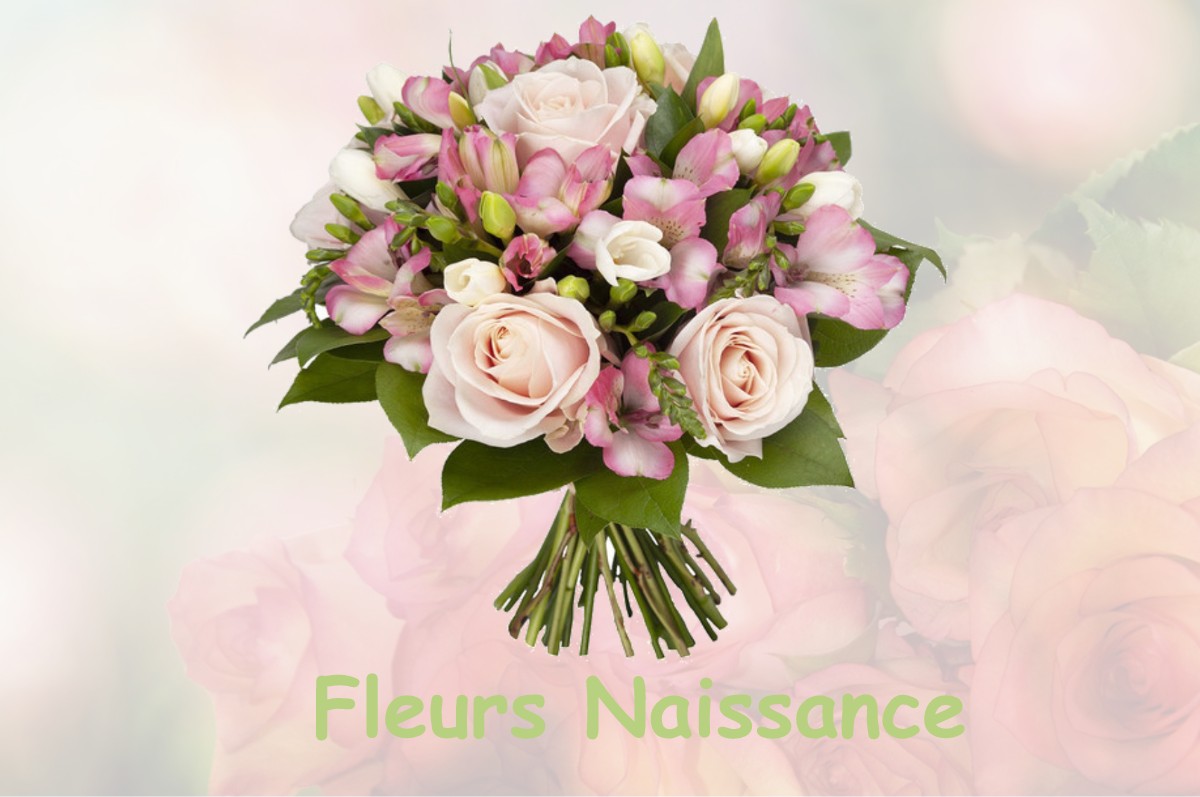 fleurs naissance FOULENAY