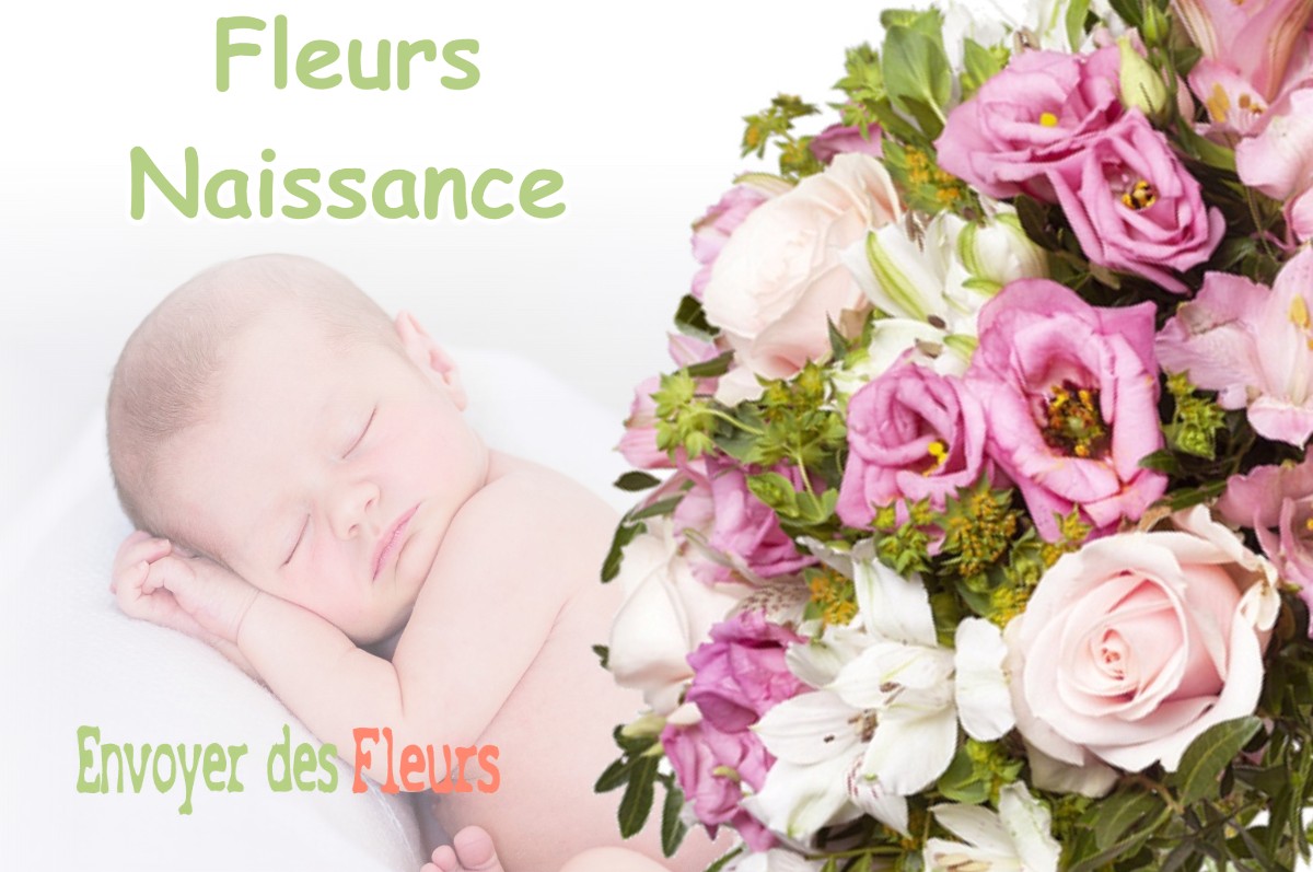 lIVRAISON FLEURS NAISSANCE à FOULENAY